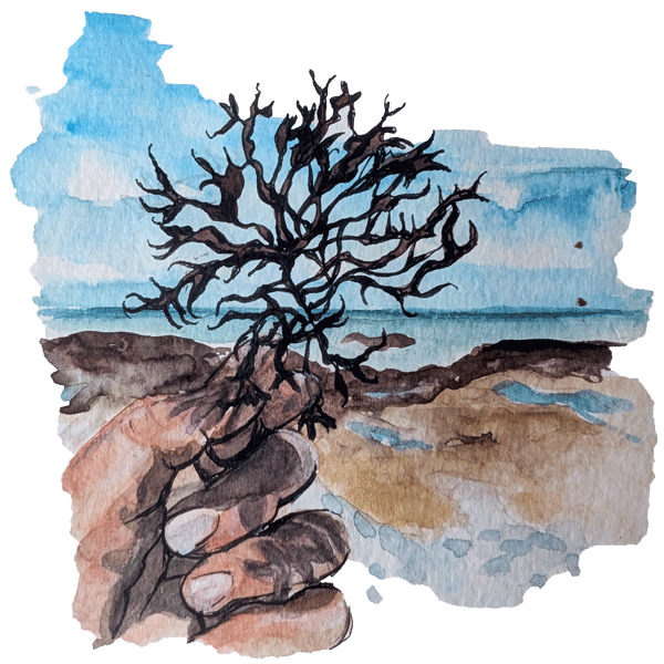 Sketchbook-travel—Karlijn-van-de-Wier-04